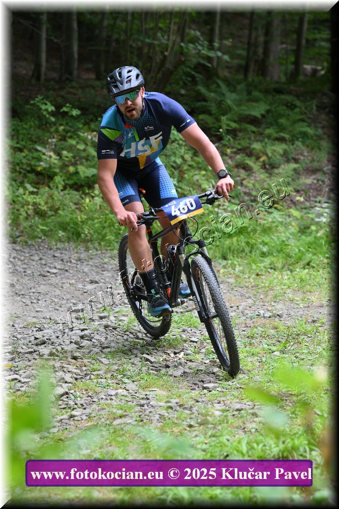 Náhled obrázku: 2025-3553-Celadna-460.JPG