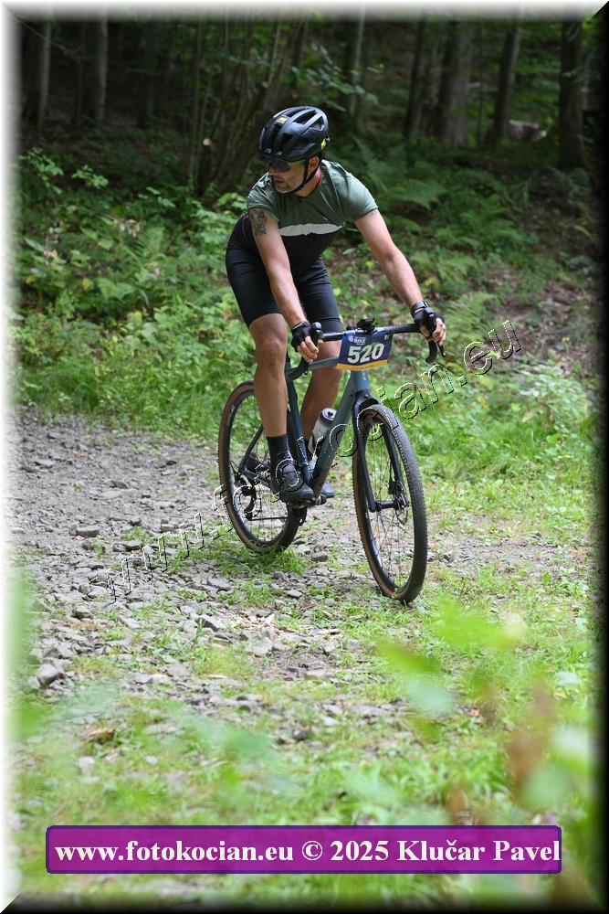 Náhled obrázku: 2025-3555-Celadna-520.JPG