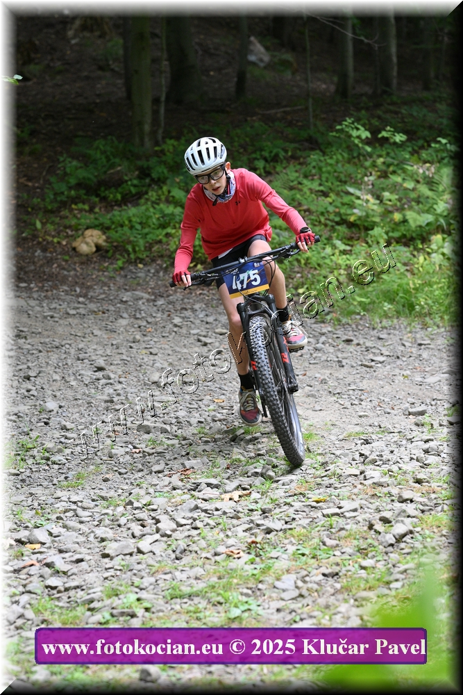 Náhled obrázku: 2025-3567-Celadna-475.JPG