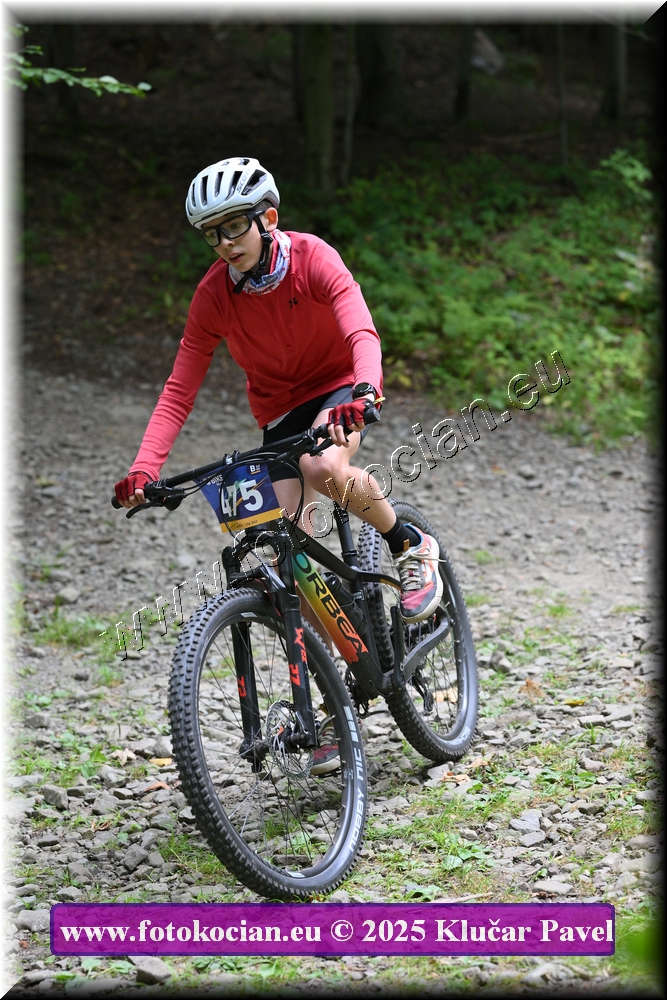 Náhled obrázku: 2025-3568-Celadna-475.JPG