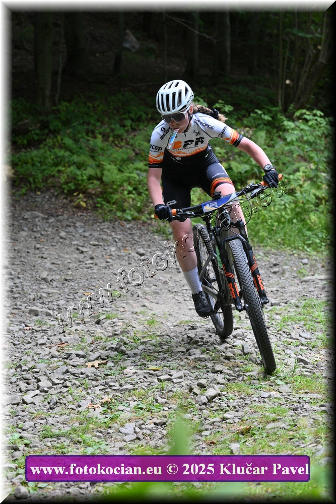 Náhled obrázku: 2025-3571-Celadna-0.JPG