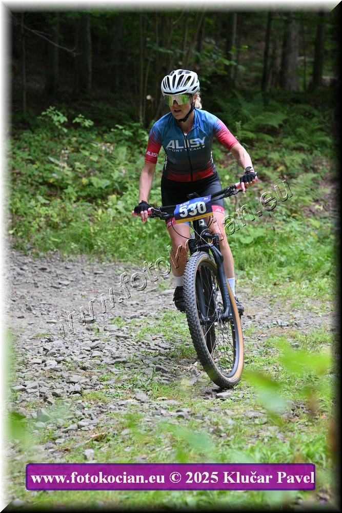 Náhled obrázku: 2025-3579-Celadna-530.JPG