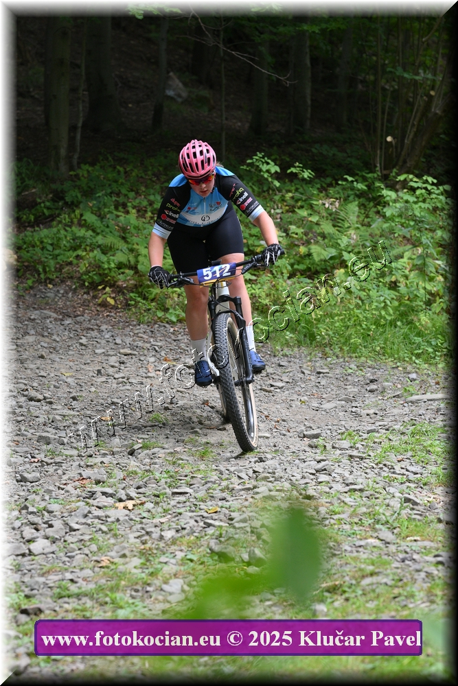 Náhled obrázku: 2025-3591-Celadna-512.JPG