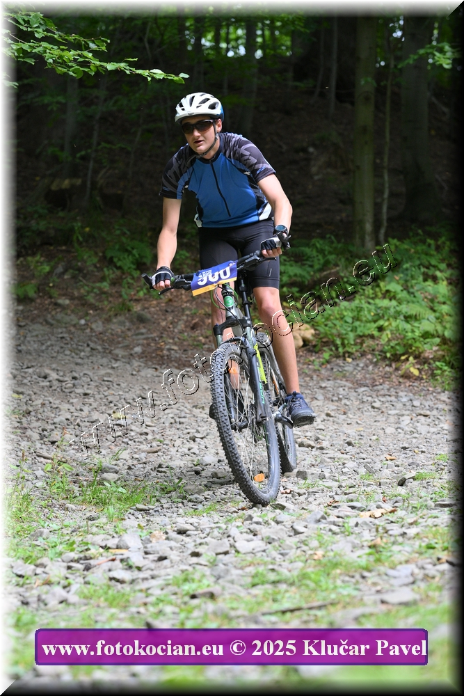 Náhled obrázku: 2025-3608-Celadna-500.JPG