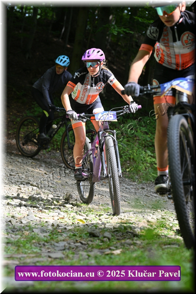 Náhled obrázku: 2025-3633-Celadna-495.JPG