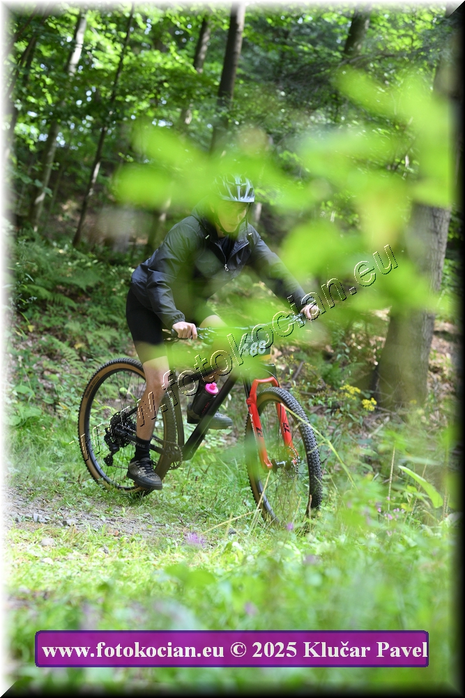 Náhled obrázku: 2025-3647-Celadna-488.JPG