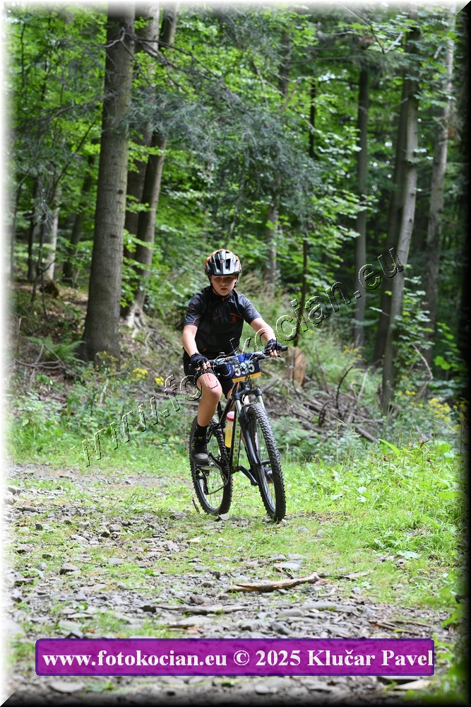 Náhled obrázku: 2025-3674-Celadna-535.JPG