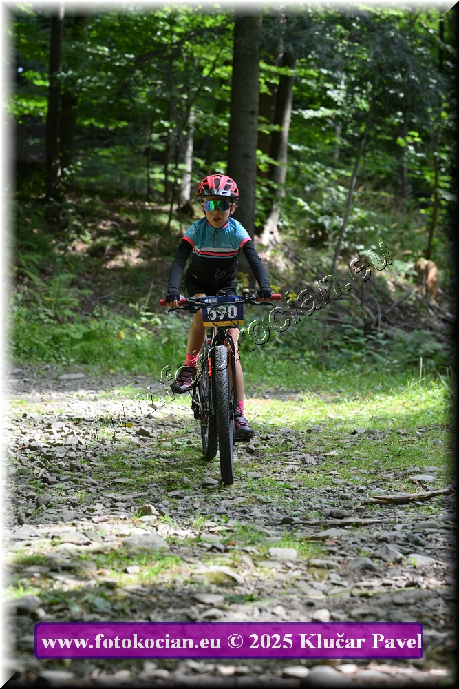 Náhled obrázku: 2025-3683-Celadna-590.JPG