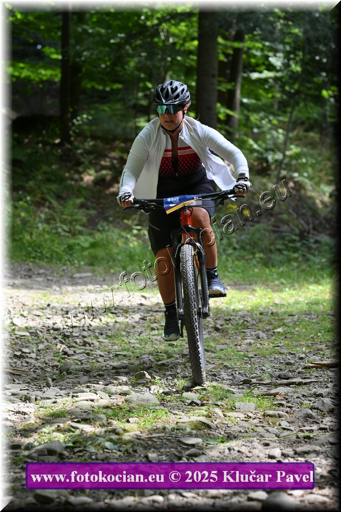 Náhled obrázku: 2025-3691-Celadna-0.JPG