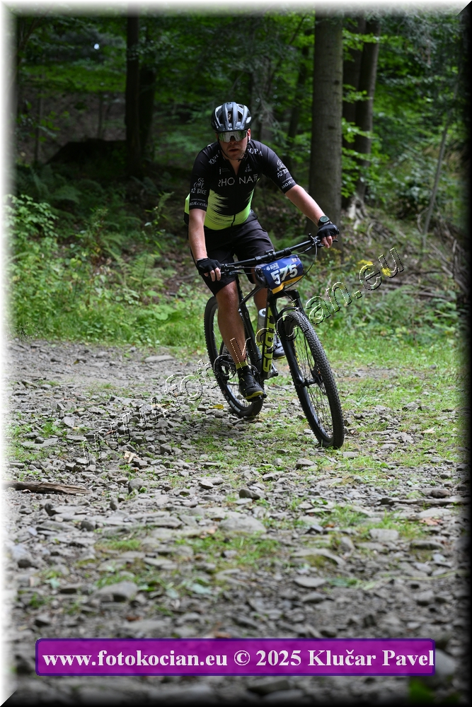 Náhled obrázku: 2025-3701-Celadna-575.JPG