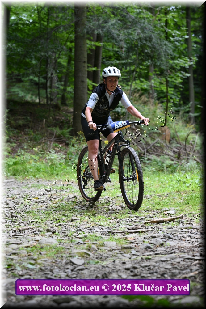 Náhled obrázku: 2025-3708-Celadna-468.JPG