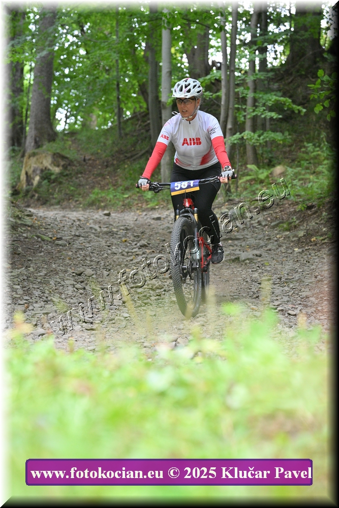 Náhled obrázku: 2025-3717-Celadna-581.JPG