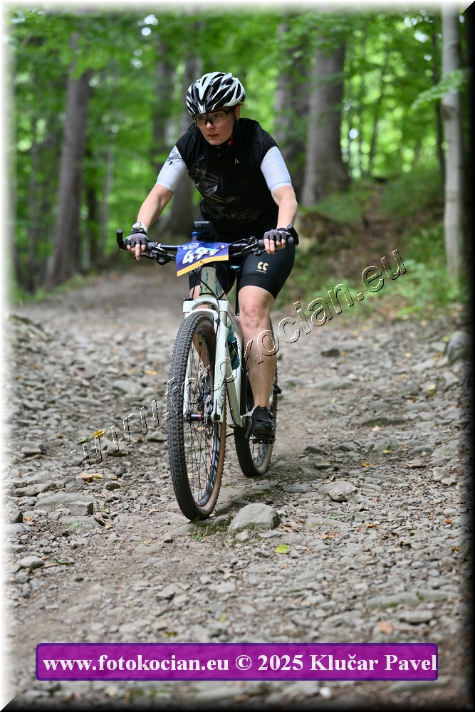 Náhled obrázku: 2025-3719-Celadna-499.JPG