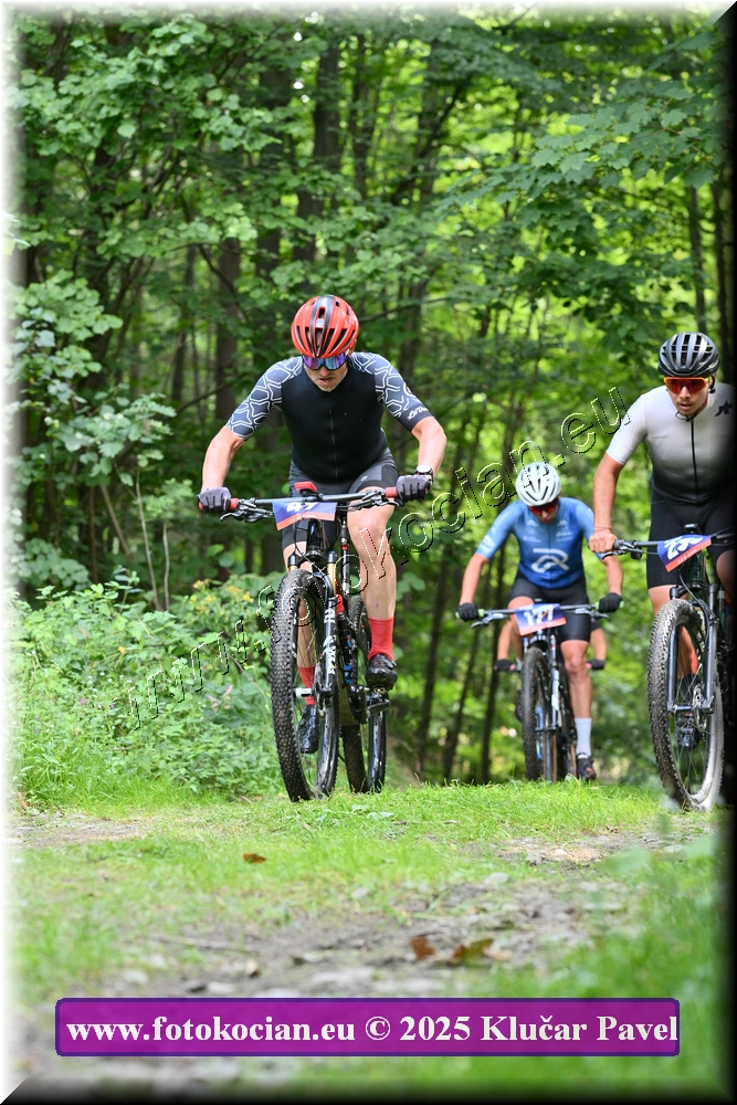 Náhled obrázku: 2025-3762-Celadna-49.JPG