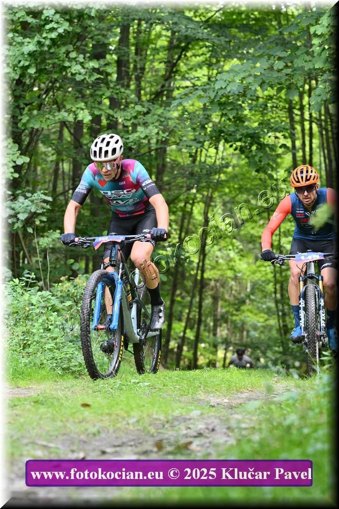 Náhled obrázku: 2025-3764-Celadna-0.JPG