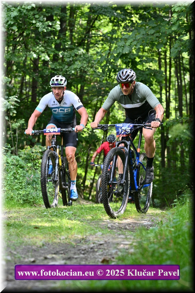 Náhled obrázku: 2025-3808-Celadna-264,175.JPG