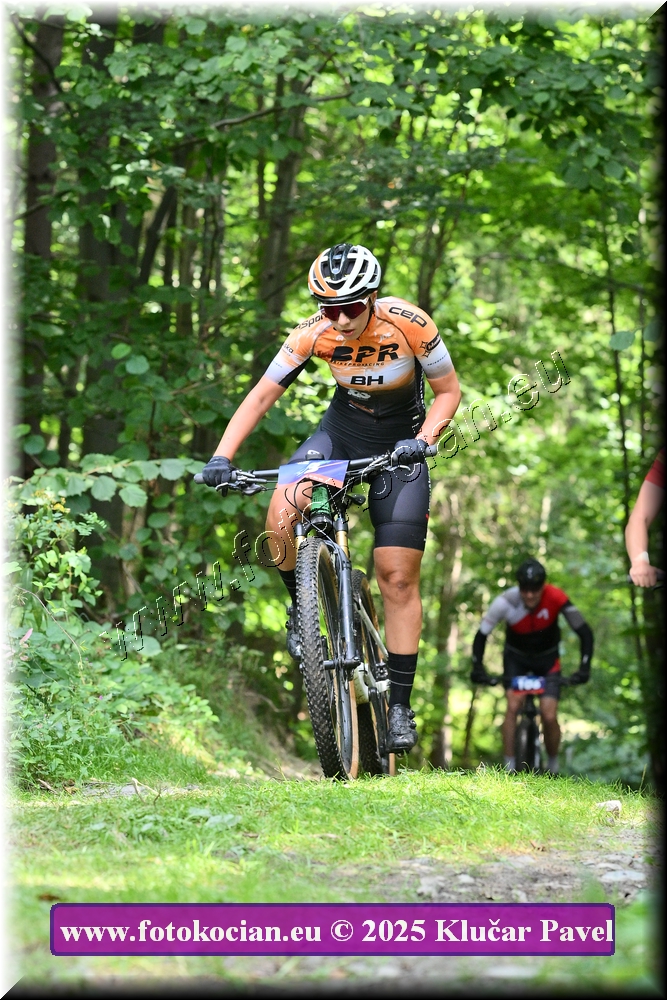 Náhled obrázku: 2025-3822-Celadna-3.JPG