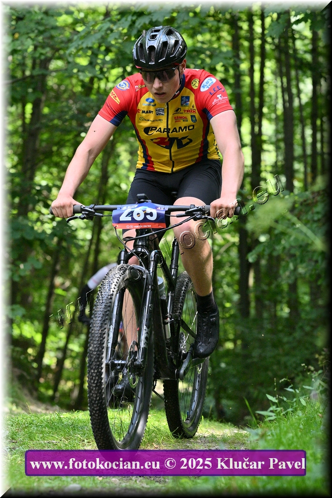 Náhled obrázku: 2025-3823-Celadna-265.JPG