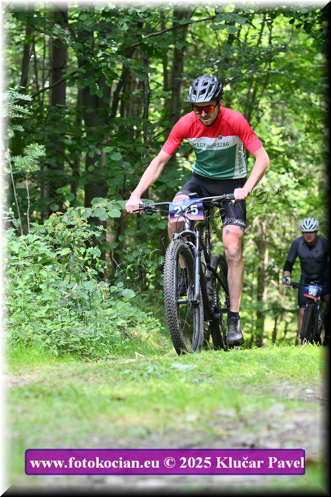 Náhled obrázku: 2025-3852-Celadna-275.JPG