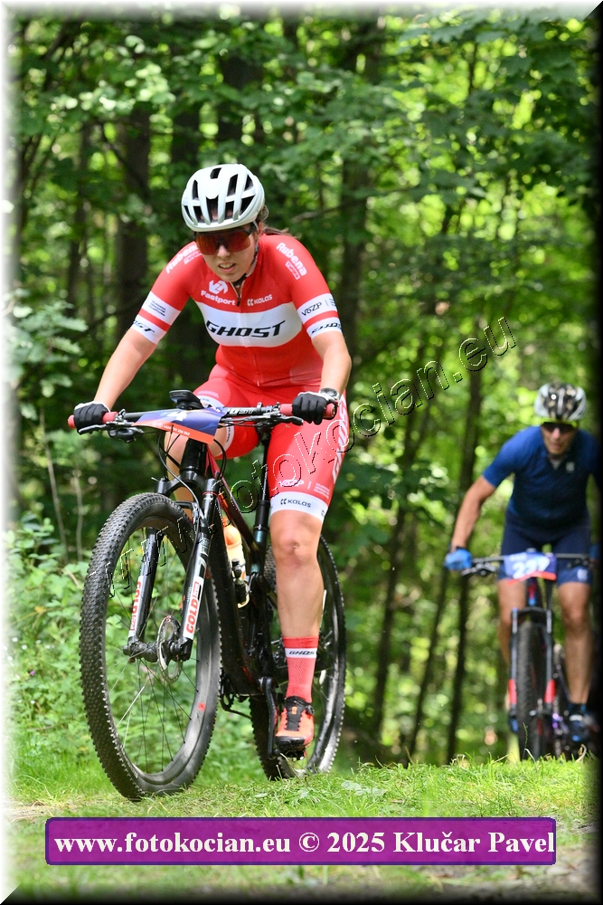 Náhled obrázku: 2025-3857-Celadna-4.JPG