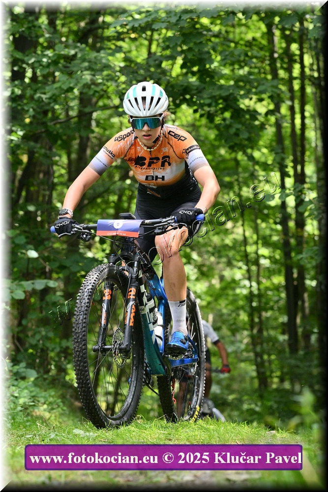 Náhled obrázku: 2025-3869-Celadna-6.JPG