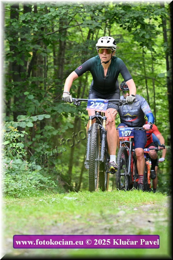 Náhled obrázku: 2025-3900-Celadna-272.JPG