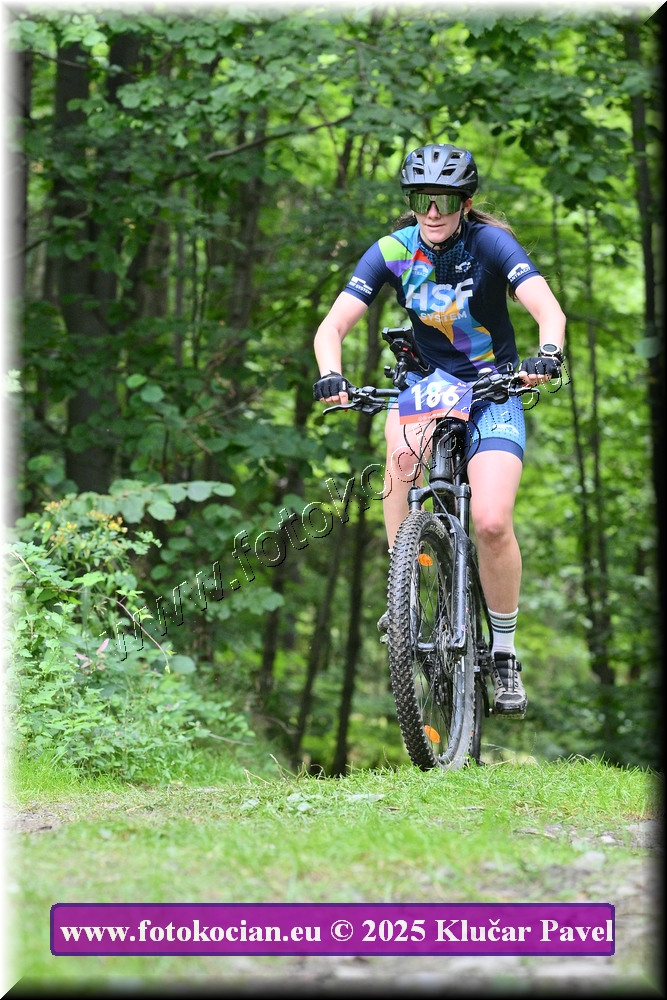 Náhled obrázku: 2025-3975-Celadna-186.JPG