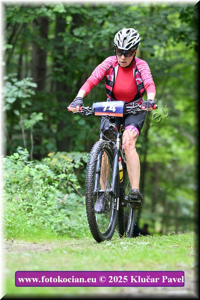 Náhled obrázku: 2025-3983-Celadna-74.JPG