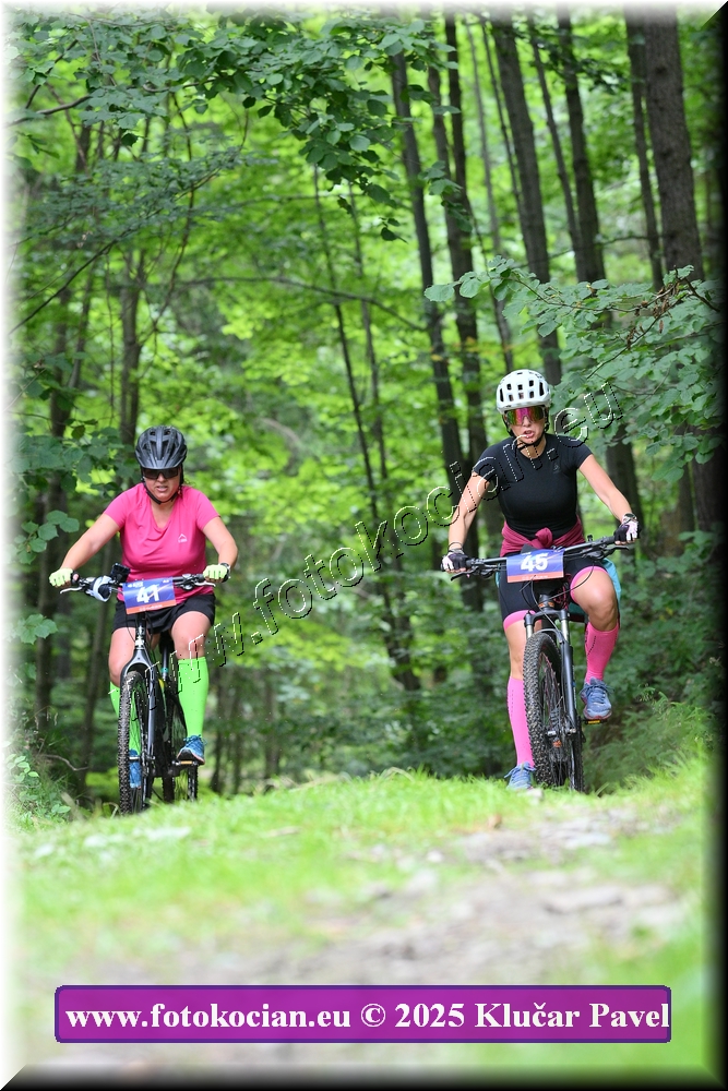 Náhled obrázku: 2025-3986-Celadna-45.JPG