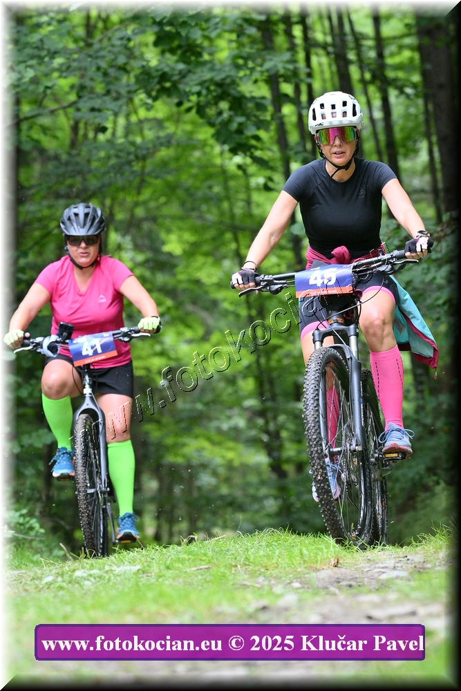 Náhled obrázku: 2025-3987-Celadna-45,41.JPG