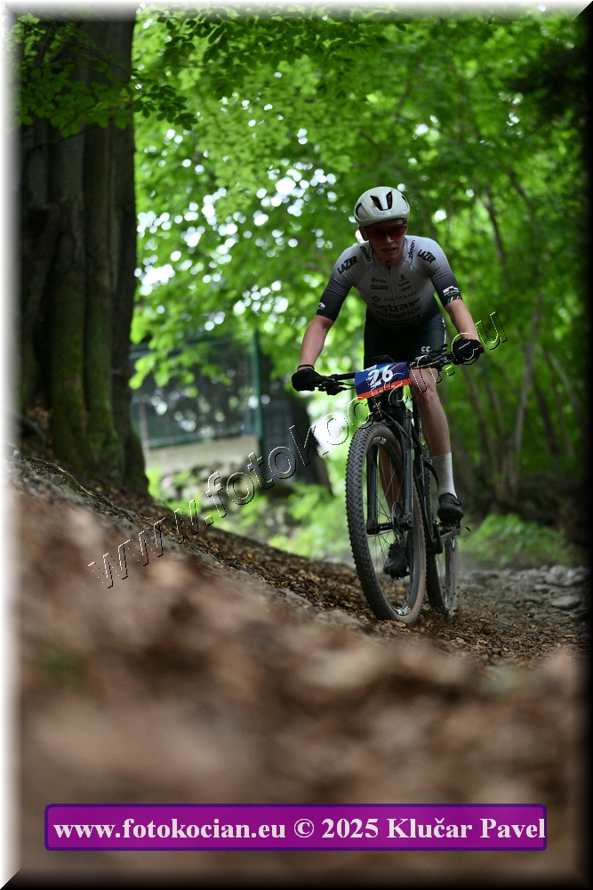 Náhled obrázku: 2025-4012-Celadna-26.JPG