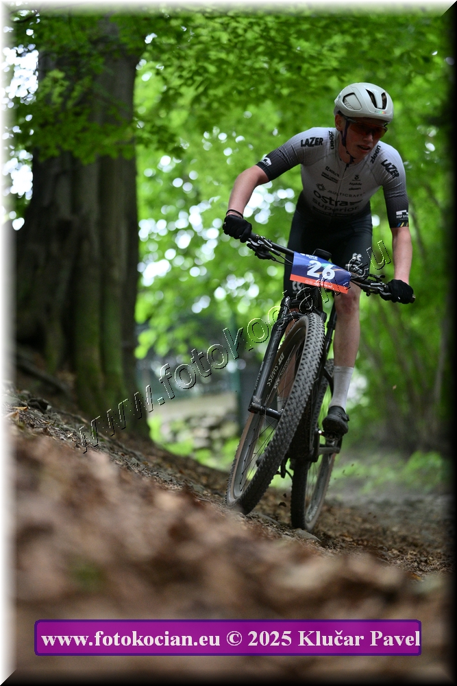 Náhled obrázku: 2025-4013-Celadna-26.JPG