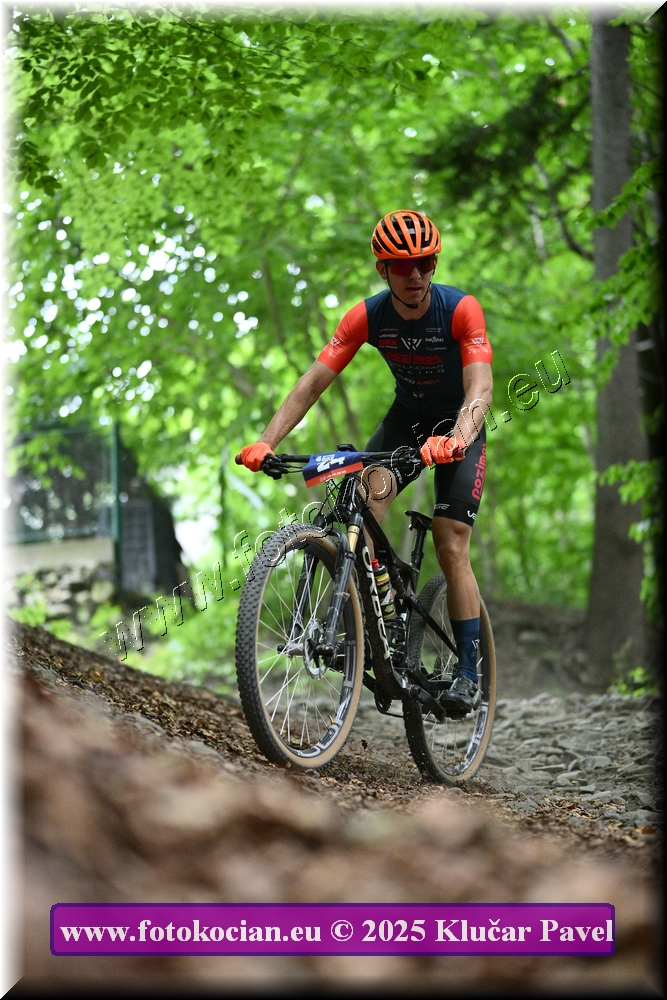 Náhled obrázku: 2025-4014-Celadna-24.JPG