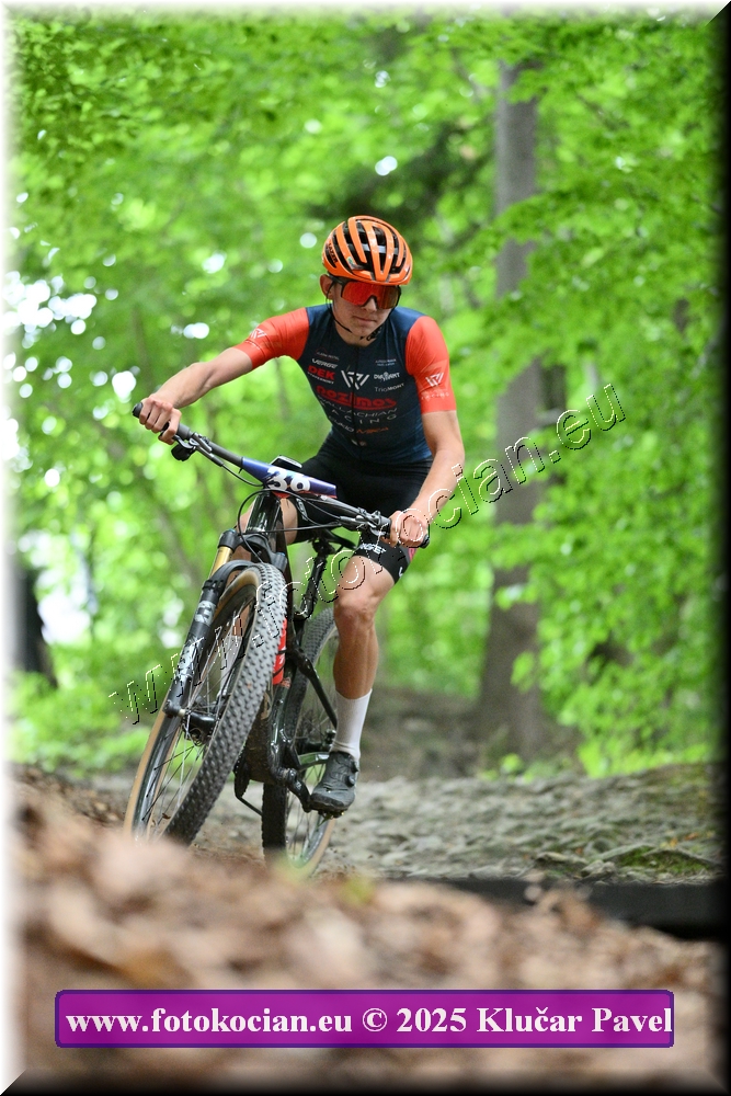 Náhled obrázku: 2025-4024-Celadna-39.JPG