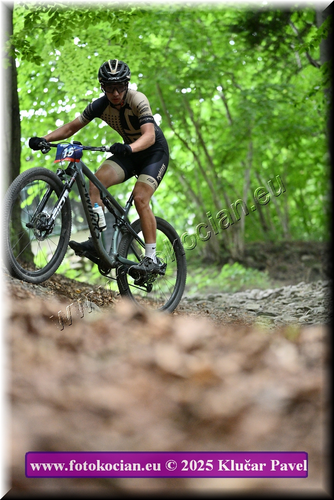 Náhled obrázku: 2025-4025-Celadna-15.JPG