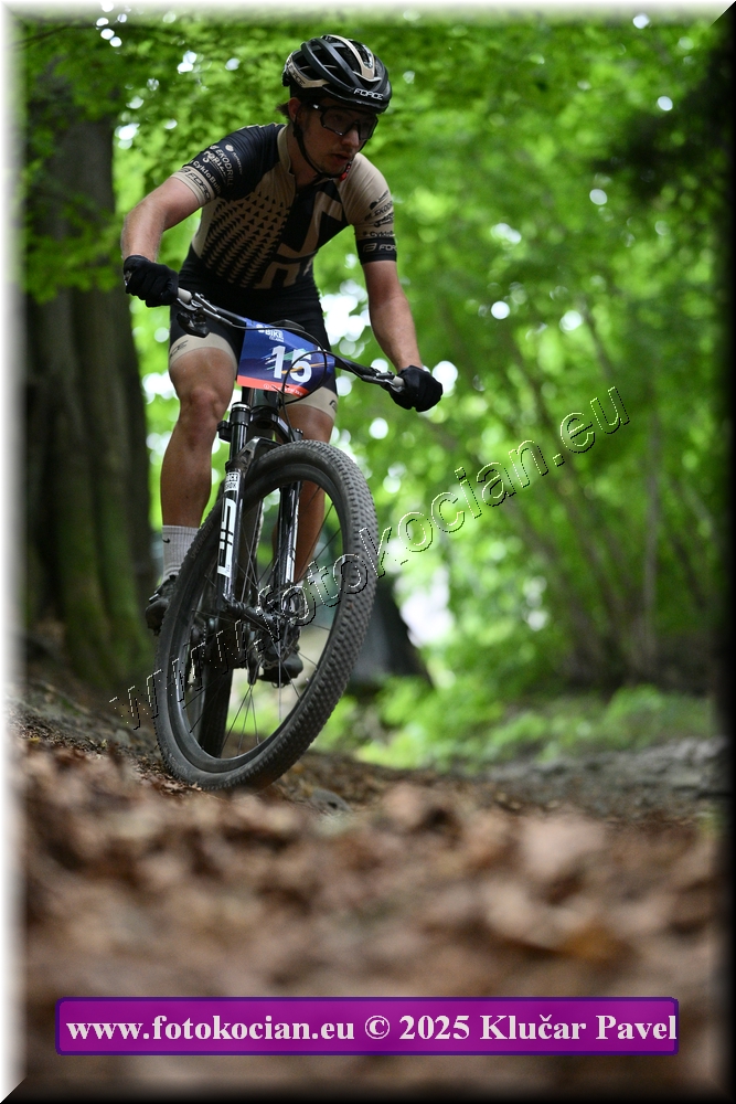 Náhled obrázku: 2025-4026-Celadna-15.JPG