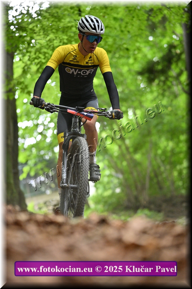 Náhled obrázku: 2025-4033-Celadna-0.JPG