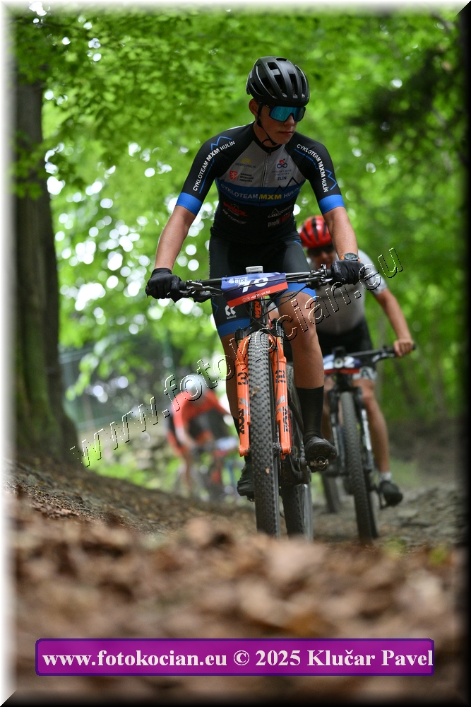 Náhled obrázku: 2025-4039-Celadna-78.JPG