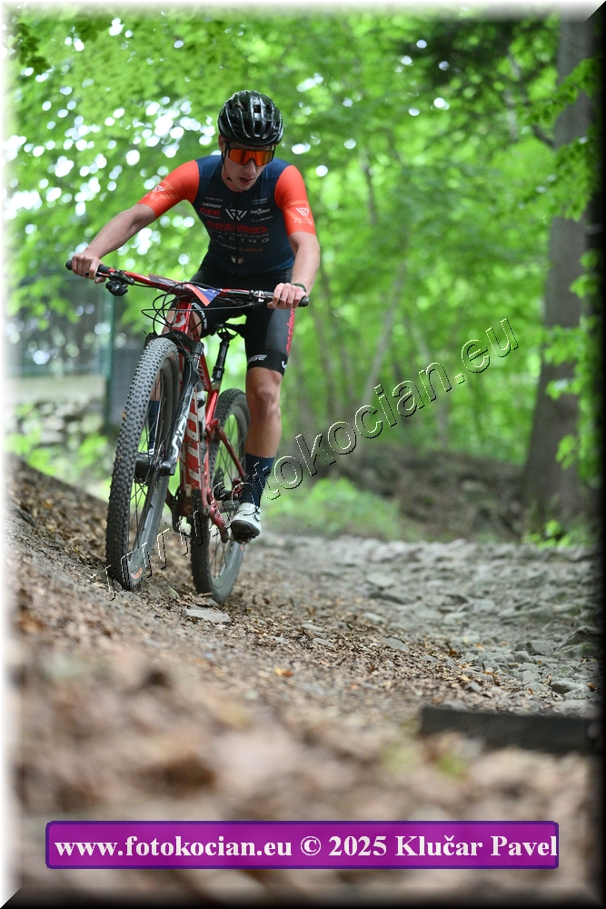 Náhled obrázku: 2025-4053-Celadna-0.JPG