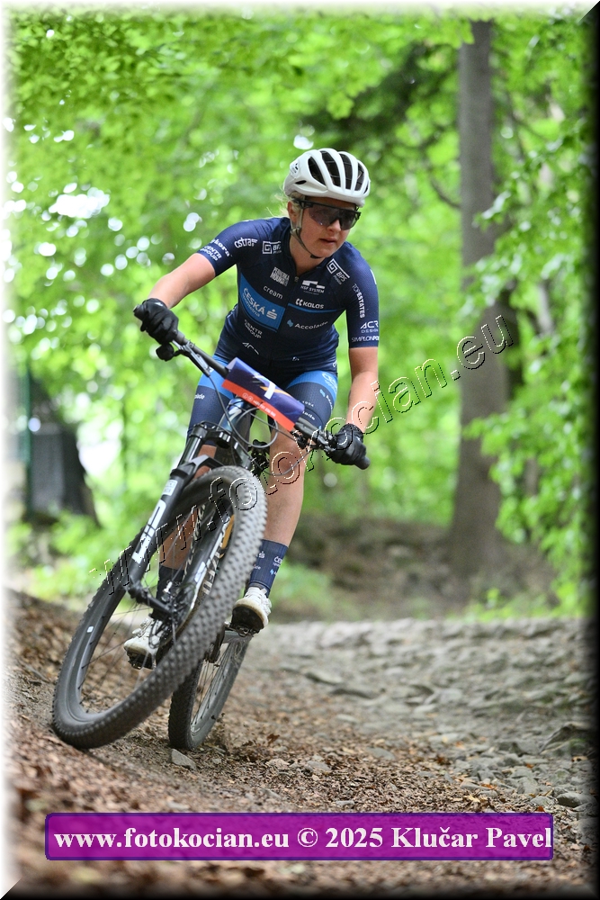 Náhled obrázku: 2025-4069-Celadna-1.JPG