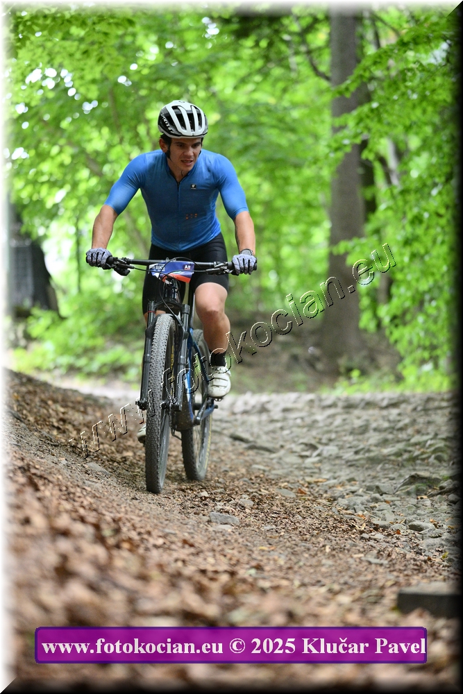 Náhled obrázku: 2025-4082-Celadna-0.JPG