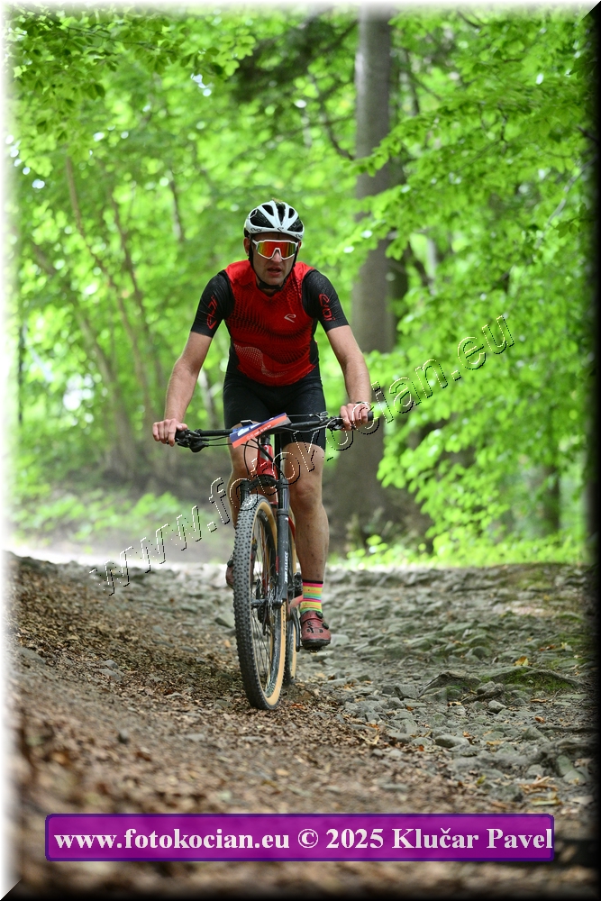 Náhled obrázku: 2025-4095-Celadna-0.JPG