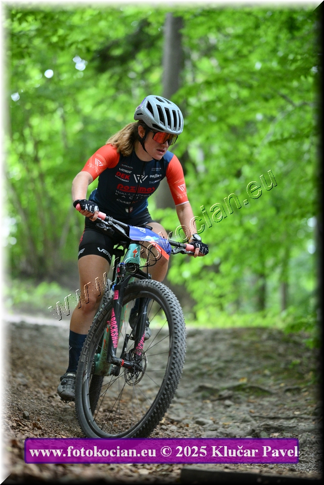 Náhled obrázku: 2025-4111-Celadna-2.JPG