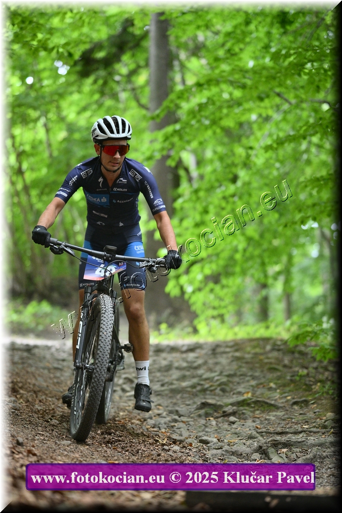 Náhled obrázku: 2025-4114-Celadna-48.JPG