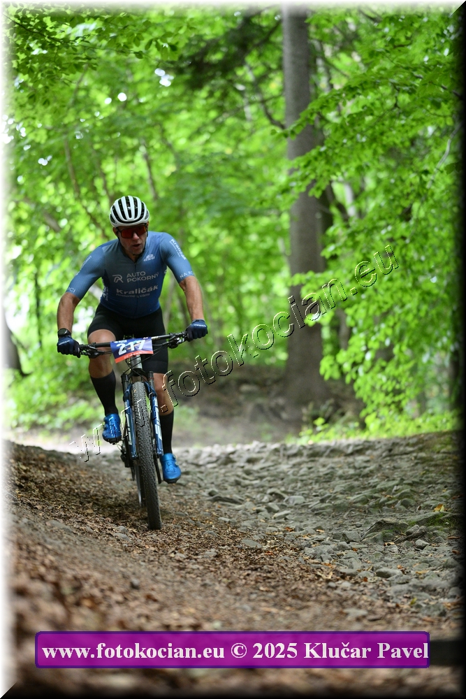 Náhled obrázku: 2025-4122-Celadna-217.JPG