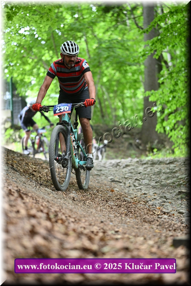 Náhled obrázku: 2025-4154-Celadna-230.JPG