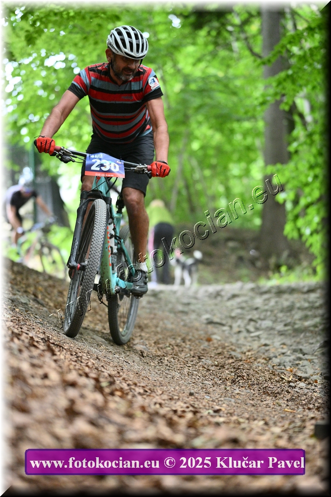 Náhled obrázku: 2025-4155-Celadna-230.JPG