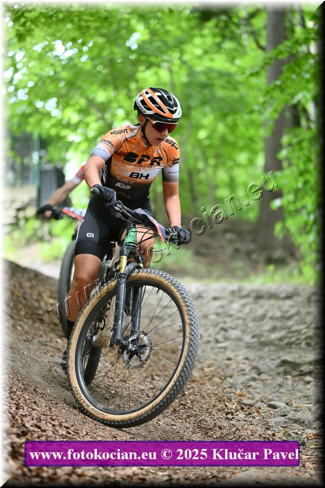 Náhled obrázku: 2025-4164-Celadna-0.JPG