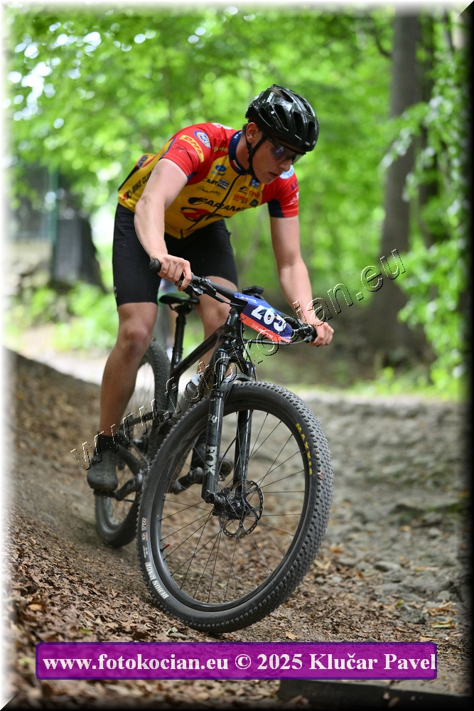 Náhled obrázku: 2025-4171-Celadna-265.JPG