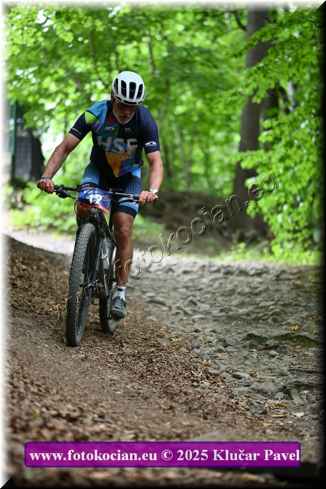 Náhled obrázku: 2025-4178-Celadna-17.JPG